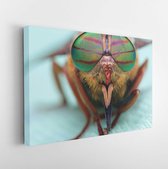 Eyes of an insect. Portrait of a Gadfly (Fly).Hybomitra horse fly head closeup - Modern Art Canvas - Horizontal - 197882684 - 50*40 Horizontal