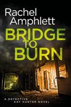 Detective Kay Hunter 7 - Bridge to Burn (Detective Kay Hunter crime thriller series, Book 7)