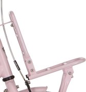 Alpina voordrager 16 Cargo pearl pink met matt