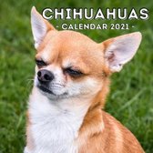 Chihuahuas