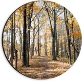 Dibond Wandcirkel - Bos met Herfstbladeren - 20x20cm Foto op Aluminium Wandcirkel (met ophangsysteem)