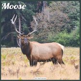 Moose 2021 Wall Calendar