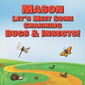 Mason Let's Meet Some Charming Bugs & Insects!