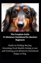 The Complete Guide To Miniature Dachshund for Absolute Beginners