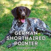 German Shorthaired Pointer