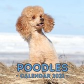 Poodles Calendar