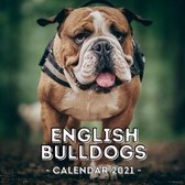 English Bulldogs 2021 Calendar