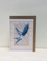 B-creativ - wenskaart boerenzwaluw - vogel illustratie - blanco - dubbelgevouwen - incl envelop - A6 formaat