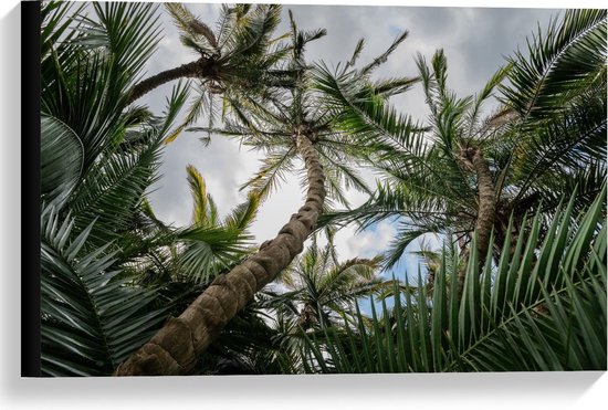 Canvas  - Palmbomen met Blauwe Lucht - 60x40cm Foto op Canvas Schilderij (Wanddecoratie op Canvas)