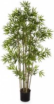 Japanse Bamboe kunstplant