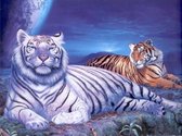Mona Lisa diamond painting compleet pakket 40x30cm: Witte tijger en tijger