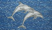 1x Friedola Universele Mat Dolphin | 80x48cm | Badmat Badkamermat Douchemat | Dolfijn