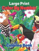 Large Print Color By Number Coloring Book