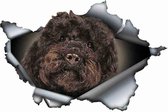 Labradoodle zwarte kleur 3D sticker/auto/camper/boot/scooter/muur/koelkast/laptop