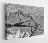 Onlinecanvas - Schilderij - Branch In River Art Horizontal Horizontal - Multicolor - 30 X 40 Cm