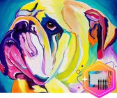 Pcasso ® Bulldog Geel – Hond - Schilderen Op Nummer – Incl. 6 Ergonomische Penselen En Geschenkverpakking - Schilderen Op Nummer Dieren - Schilderen Op Nummer Volwassenen & Kinderen – Kleuren