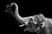 Modern oil painting of elephant happy, artist collection of animal painting for decoration and interior, canvas art, abstract elephant on black background, - Modern Art Canvas - Horizontal - 