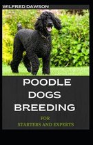 Poodle Dogs Breeding for Starters and Experts