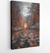 Onlinecanvas - Schilderij - Photography Fall Trees Art Vertical Vertical - Multicolor - 80 X 60 Cm