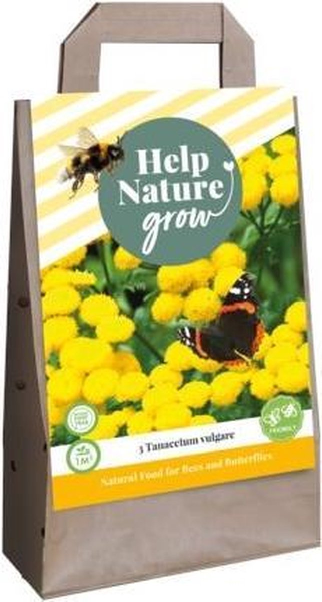 1 Tas 3 Tanacetum Vulgare - Help Nature Grow