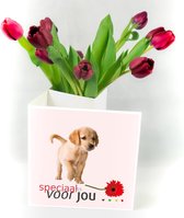 Bloomincard Tulip - Speciaal voor jou - bloemen en boeketten - Verse Tulpen met unieke vaas - Brievenbusbloemen - Speciaal voor jou met Tulpen en speciale kaart die je om kunt tove