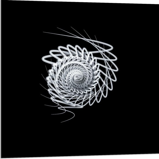 Dibond - Wit Zeefiguur op Zwarte Achtergrond - 80x80cm Foto op Aluminium (Met Ophangsysteem)