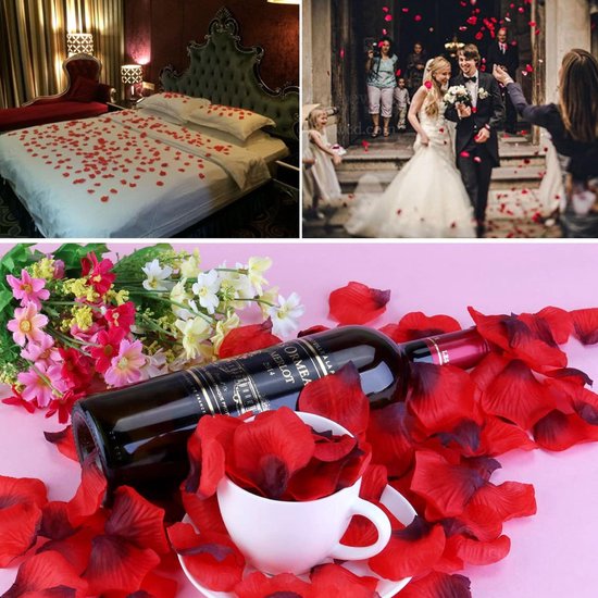 RX Goods® Rode Rozen Beer in Luxe Geschenkdoos met Liefdes Ballonnen & Rozenblaadjes