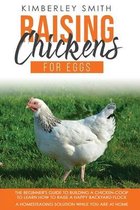 Raising Chickens for Eggs