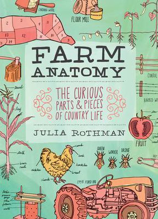 Farm Anatomy - cover
