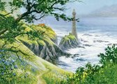 Summer Lighthouse Cobble Hill 1000 met poster