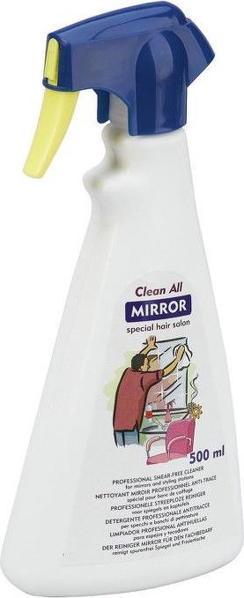 Clean All Mirror 500Ml