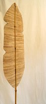 Nusa Originals - Sierpluim Waaierpalm - Grootte 160cm - Zeer decoratief - Duurzaam & Ecovriendelijk