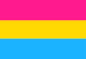 Vlag - Sticker - Panseksueel vlag - Regenboog - Gay - LGBT - Pan - Panseksual