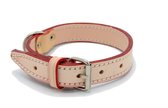 Hondenhalsband - Beige - Halsomtrek van 31.5cm tot 40.5cm - Hoge Kwaliteit Leer - Ambachtelijk Gemaakt in Portugal