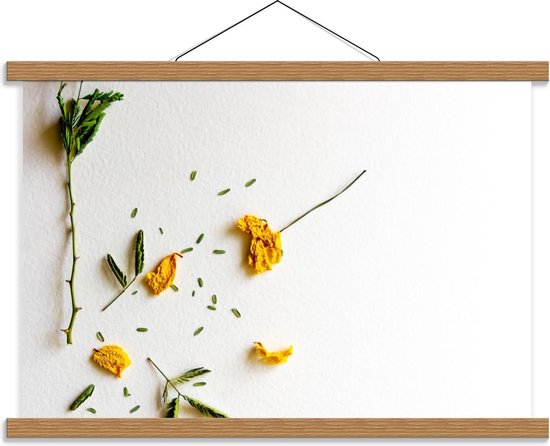 Schoolplaat – Gedroogde Bloemen en Bladeren - 60x40cm Foto op Textielposter (Wanddecoratie op Schoolplaat)