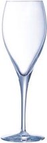 Oenologue expert champagneglas - champagneglazen - 26cl - per stuk