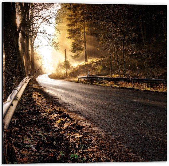 Dibond - Weg Langs het Bos in de Bergen - 50x50cm Foto op Aluminium (Met Ophangsysteem)