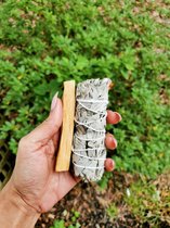 Mini Reinigingspakket white sage-palo santo