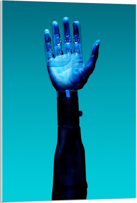 Acrylglas - Blauwe Hand - 60x90cm Foto op Acrylglas (Wanddecoratie op Acrylglas)