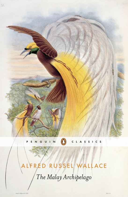 The Malay Archipelago - cover