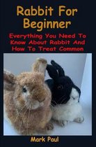 Rabbit For Beginner: Rabbit For Beginner