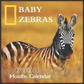 Baby Zebras Calendar