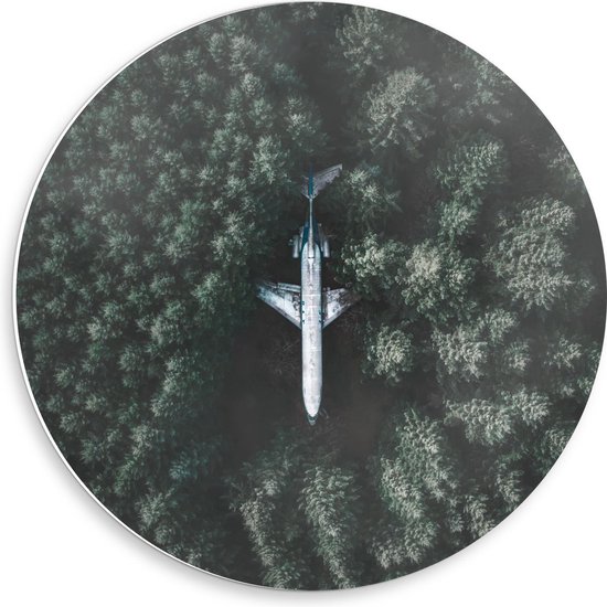 Forex Wandcirkel - Gestrand Vliegtuig in Bos - 50x50cm Foto op Wandcirkel (met ophangsysteem)