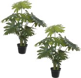Set van 2x stuks groene gatenplant kunstplanten in zwarte kunststof pot 55 cm - Philodendron Selloum - Woondecoratie
