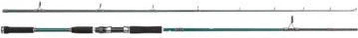 Abu Garcia Beast X Pike - 902 XH - Spinhengel - 60-120g