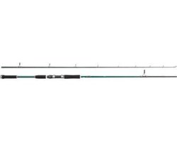 Abu Garcia Beast X Pike - 902 XH - Spinhengel - 60-120g
