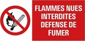 Pickup - interdit de feu a flamme nue - conform NEN-EN-ISO 7010 bord 30x15 cm