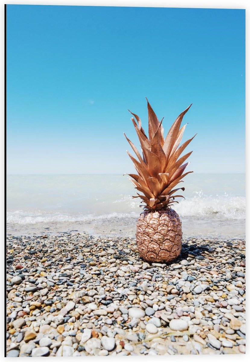 Dibond - Gouden Ananas bij Zee - 40x60cm Foto op Aluminium (Wanddecoratie van metaal) op Prijzenvolger.com