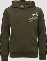 Puma Amplified Fleece Trui / Hoodie - Groen Kinderen - Maat 176