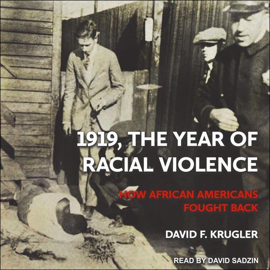 1919, The Year of Racial Violence - cover